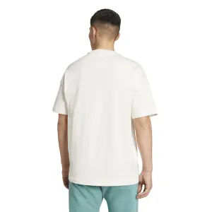 Camiseta bordada adidas All Szn Graphics image-2