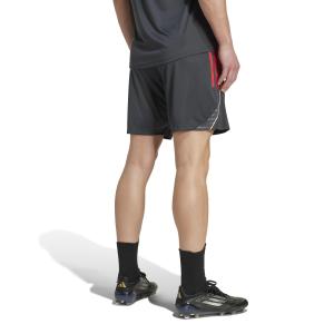 Pantalones cortos de entrenamiento OL 2025/26 image-4