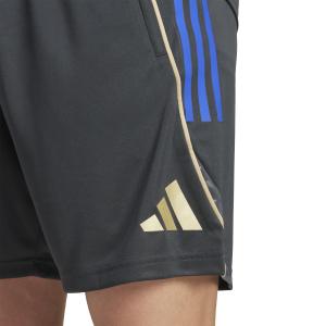 Pantalones cortos de entrenamiento OL 2025/26 image-6