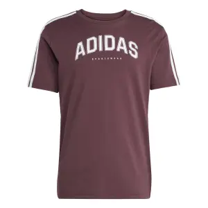 Camiseta adidas Codes Collegiate Linear Graphic image-0