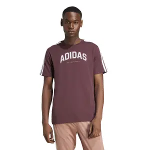 Camiseta adidas Codes Collegiate Linear Graphic image-1
