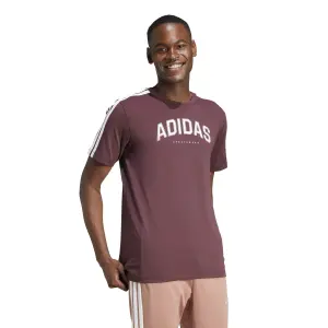 Camiseta adidas Codes Collegiate Linear Graphic image-2