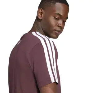 Camiseta adidas Codes Collegiate Linear Graphic image-5