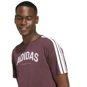 Camiseta adidas Codes Collegiate Linear Graphic image-4