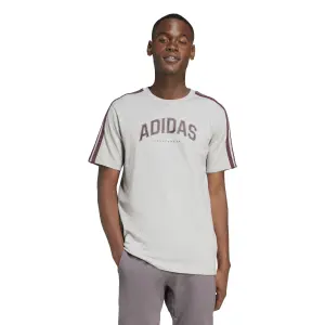 Camiseta adidas Codes Collegiate Linear Graphic image-1