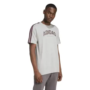Camiseta adidas Codes Collegiate Linear Graphic image-2