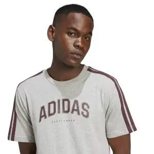 Camiseta adidas Codes Collegiate Linear Graphic image-4