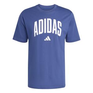 jm6417-t-shirt-adidas-collegiate-lineage-graphic-azul