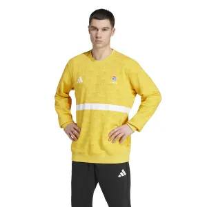 Maillot Exterieur France Gardien 2025/26 image-1