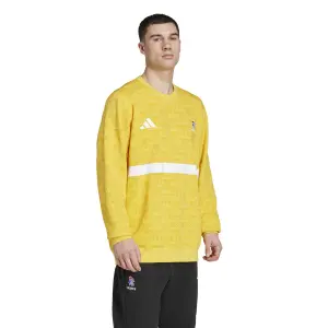 Maillot Exterieur France Gardien 2025/26 image-2