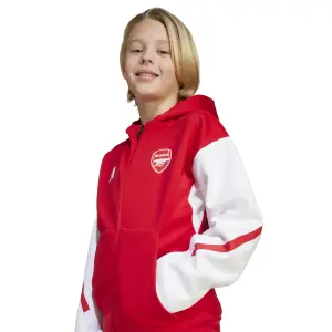Arsenal kids' hoodie Z.N.E. Anthem image-4