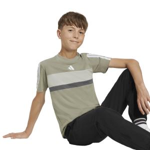 T-Shirt adidas Seasonal Essentials Tiberio 3 stripes image-3