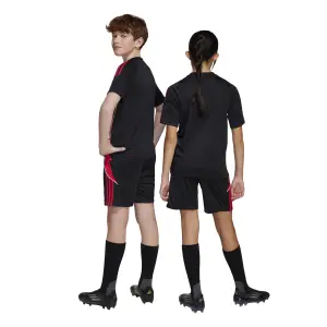 Children's training shorts adidas Tiro24 image-5