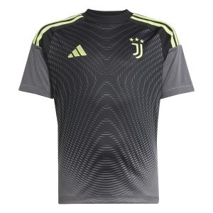 jn5217-juventus-turin-home-goalkeeper-kit-for-kids-2025-26-grey