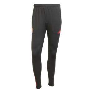 Pantaloni da allenamento Bayern Monaco EU 2025/26 image-0
