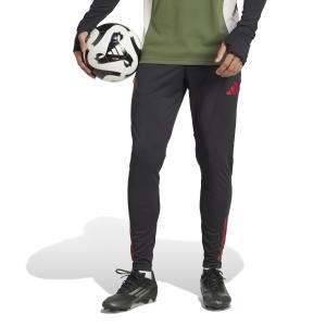 Pantaloni da allenamento Bayern Monaco EU 2025/26 image-1