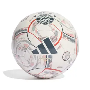 Bayern Munich Outdoor Ball image-0