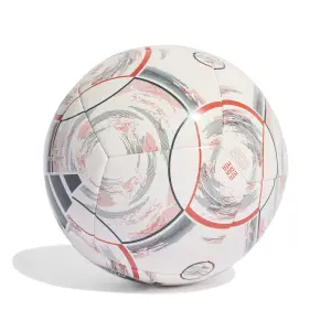 Bayern Munich Outdoor Ball image-1