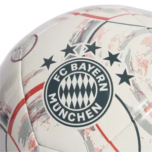 Bayern Munich Outdoor Ball image-2