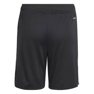 Spodenki trzeciego kompletu dziecięce Bayern Monachium 2025/26 image-1