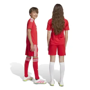 Bayern Munich Third Kids Goalkeeper Shorts 2025/26 image-5