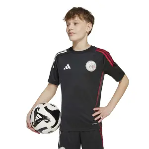 Camisola de treino infantil Ajax Amsterdam 2025/26 image-1