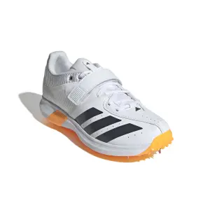 Cricket shoes adidas 22YDS Vector image-1