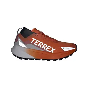 Damesschoenen adidas Terrex Agravic GTX image-3