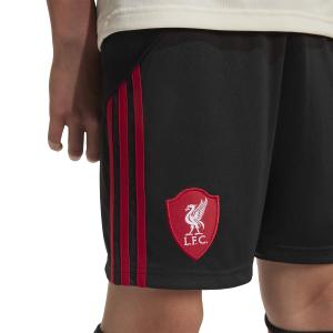 Pantaloni corti da esterno per bambini Liverpool FC 2025/26 image-6