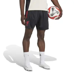Pantaloni da allenamento Liverpool FC Competition 2025/26 image-1