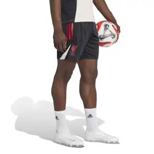 Pantaloni da allenamento Liverpool FC Competition 2025/26 image-3