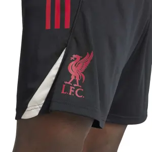 Pantaloni da allenamento Liverpool FC Competition 2025/26 image-5