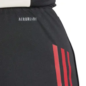 Pantaloni da allenamento Liverpool FC Competition 2025/26 image-6