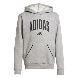 jv7336-child-hoodie-adidas-essentials-collegiate-typography-mgreyh-black