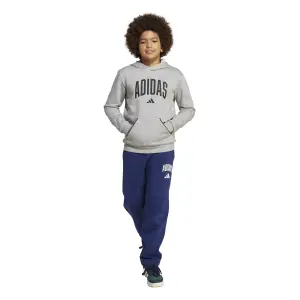 Child hoodie adidas Essentials Collegiate Typography image-2