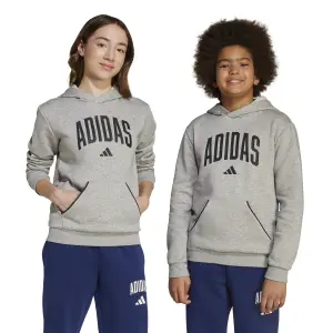 Child hoodie adidas Essentials Collegiate Typography image-4
