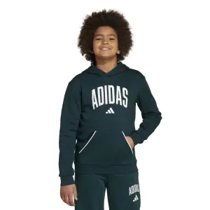 Sudadera infantil adidas Seasonals Essentials universitaire imprimé typographique image-2