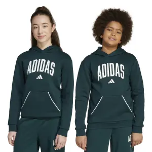 Sudadera infantil adidas Seasonals Essentials universitaire imprimé typographique image-3