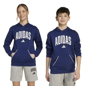 Child hoodie adidas Seasonals Essentials Collegiate image-2