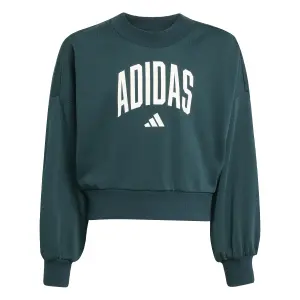 Meisjes Sweatshirt adidas Essentials Collegiate Typography image-0