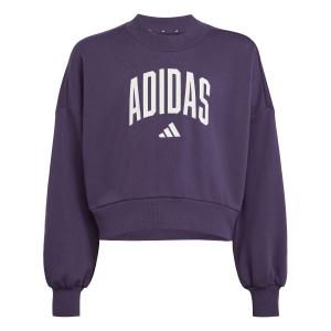 jv7379-meisjes-sweatshirt-adidas-essentials-collegiate-typography-aurplu-white
