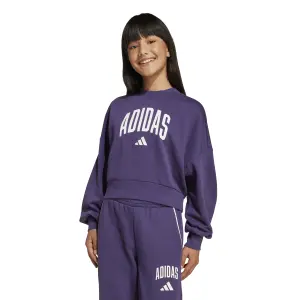 Meisjes Sweatshirt adidas Essentials Collegiate Typography image-1
