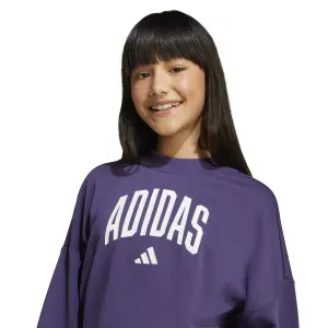 Meisjes Sweatshirt adidas Essentials Collegiate Typography image-5