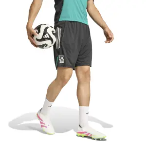 Liverpool FC träningsshorts 2025/26 image-3
