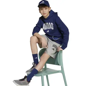 Kinderbroeken adidas Seasonals Essentials Collegiate Typography image-5