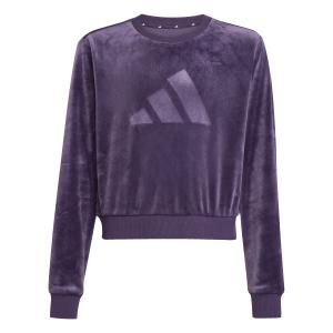 product/a/d/adidas_jw2437_aurplu_1.jpg
