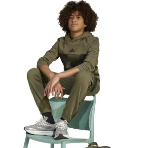 Camisola com capuz para criança adidas Seasonals Essentials image-4