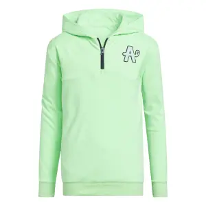 Pullover Kind adidas PERFORMANCE WINTER HOODIE image-0