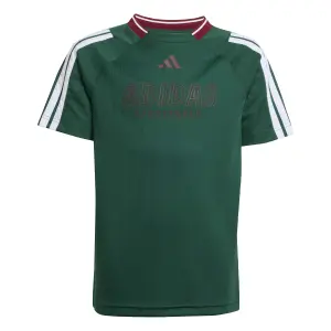 Children's jersey adidas House of Tiro image-0