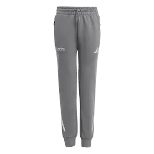 Pantalon de survêtement enfant Mercedes AMG Mercedes - Amg Petronas Formula One Team Silver Arrows image-0
